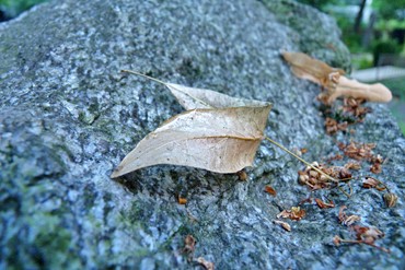 Steinpflege